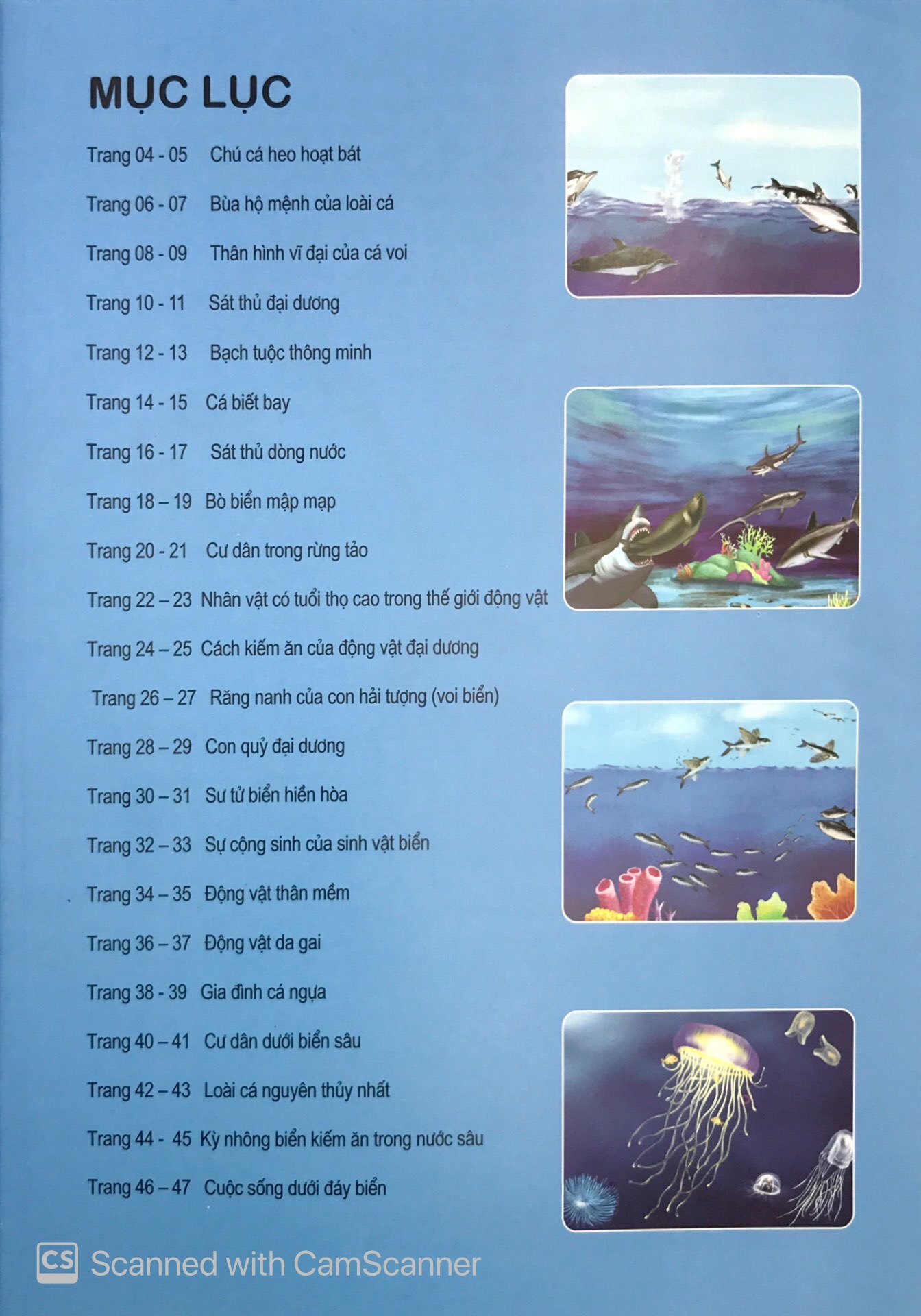 đại dương kỳ bí - thế giới động vật kỳ thú - Ảnh 4