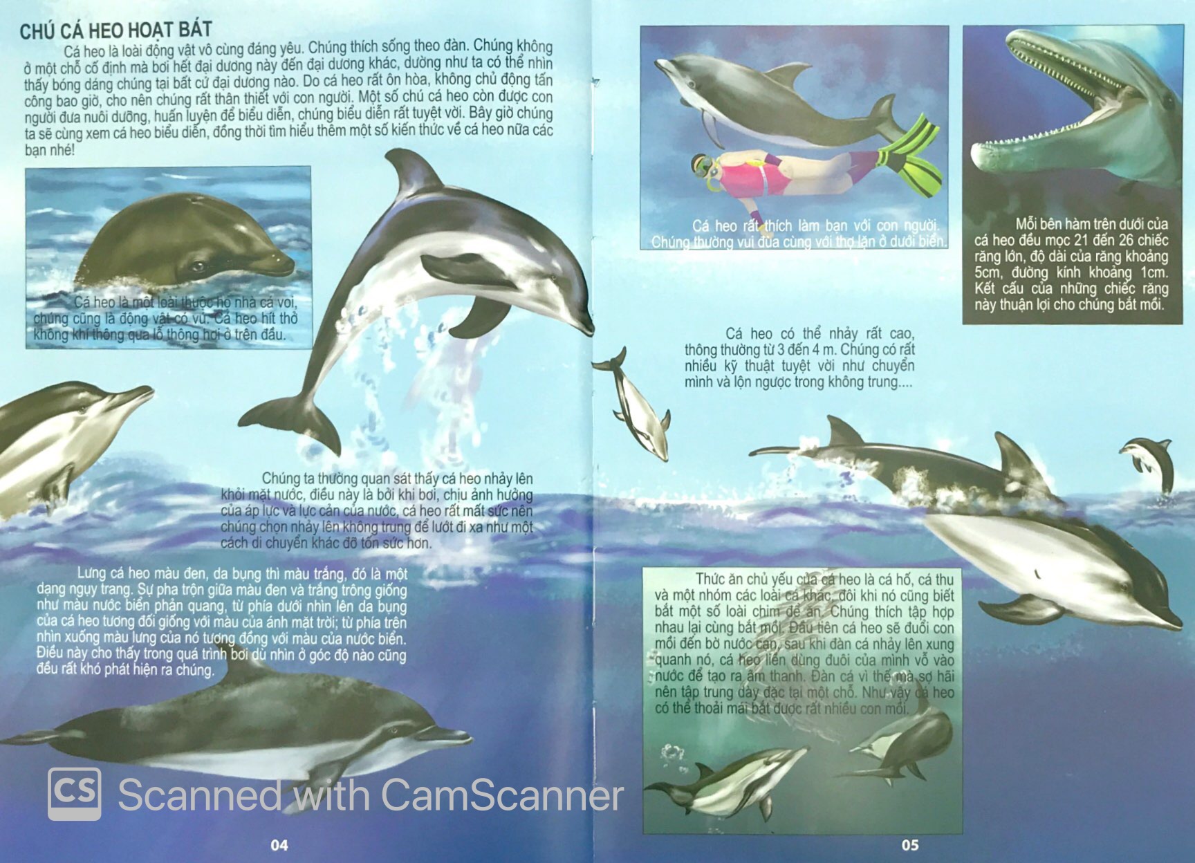 đại dương kỳ bí - thế giới động vật kỳ thú - Ảnh 5