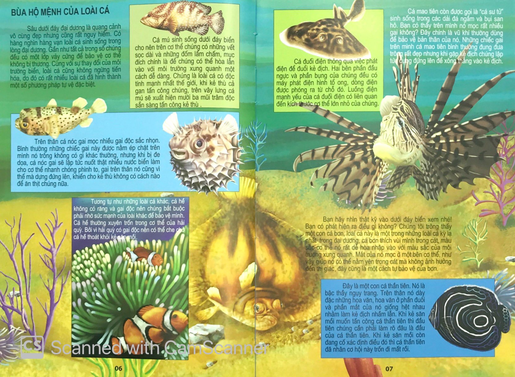 đại dương kỳ bí - thế giới động vật kỳ thú - Ảnh 6