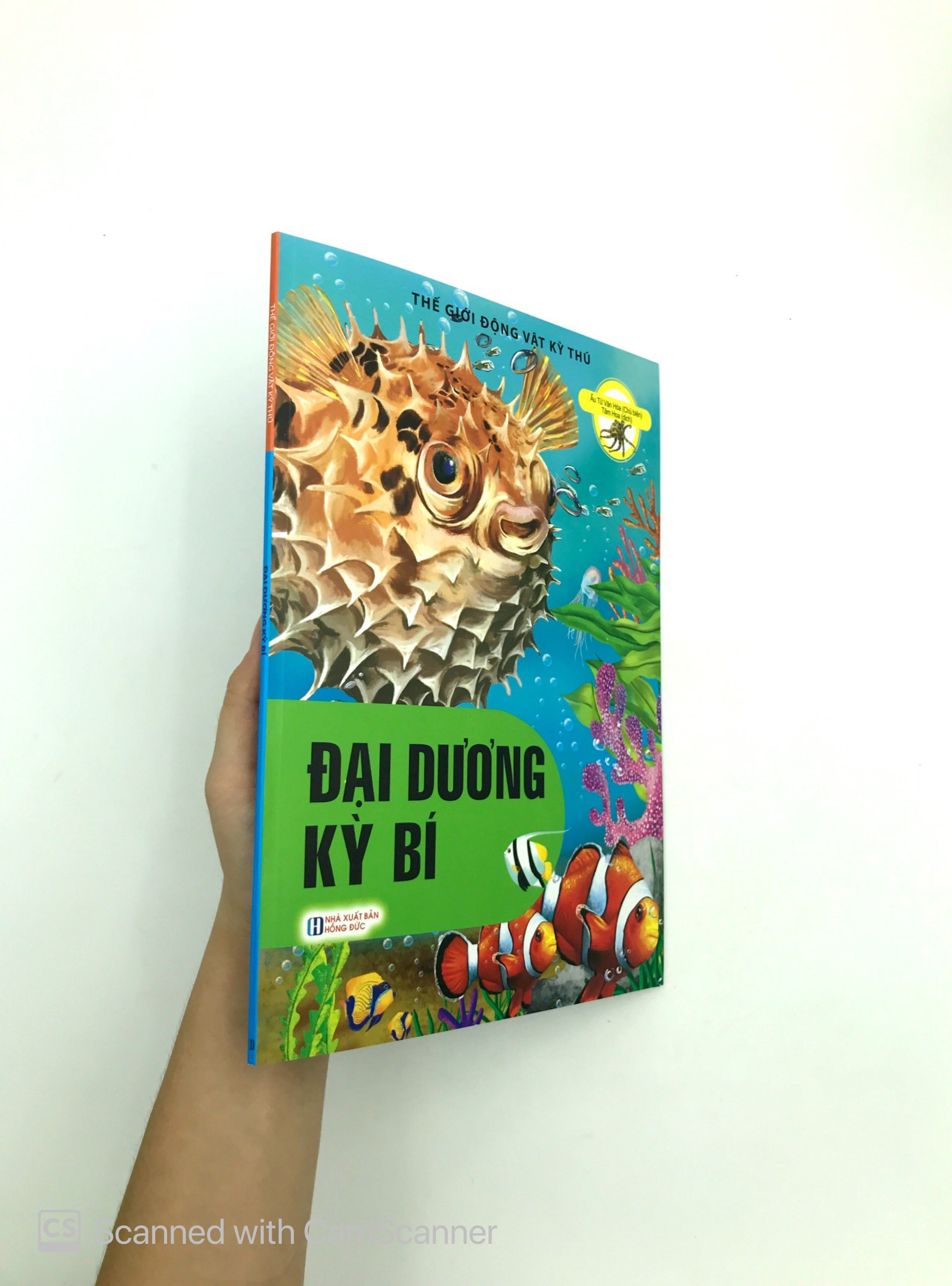 đại dương kỳ bí - thế giới động vật kỳ thú - Ảnh 9