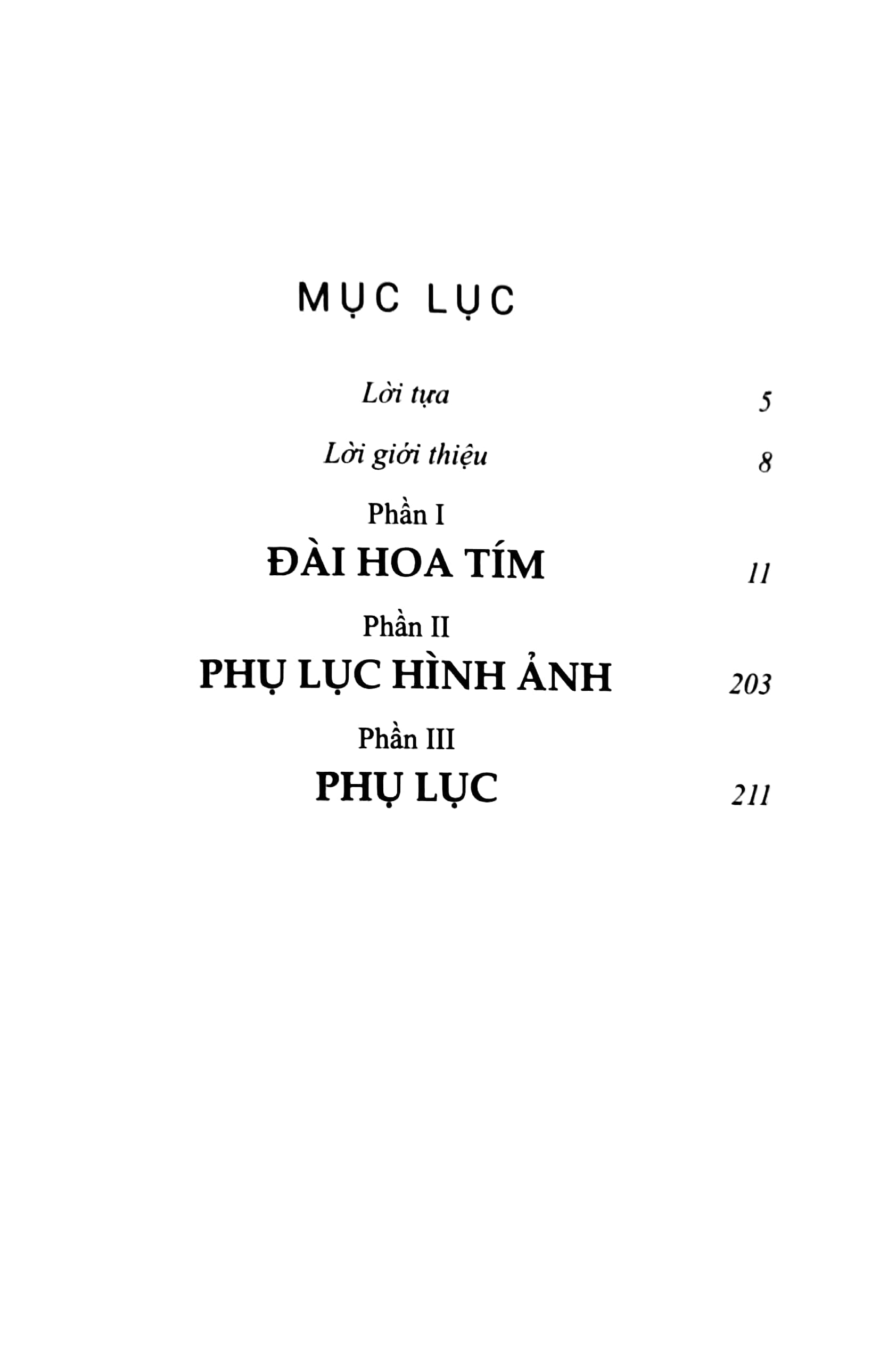 đài hoa tím - chuyện 10 cô gái ngã ba đồng lộc - Ảnh 3