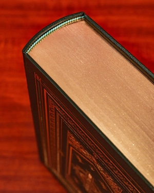 dại thì chết - ấn bản giới hạn - bìa da - Ảnh 7