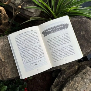 đại ý kinh pháp hoa - Ảnh 3