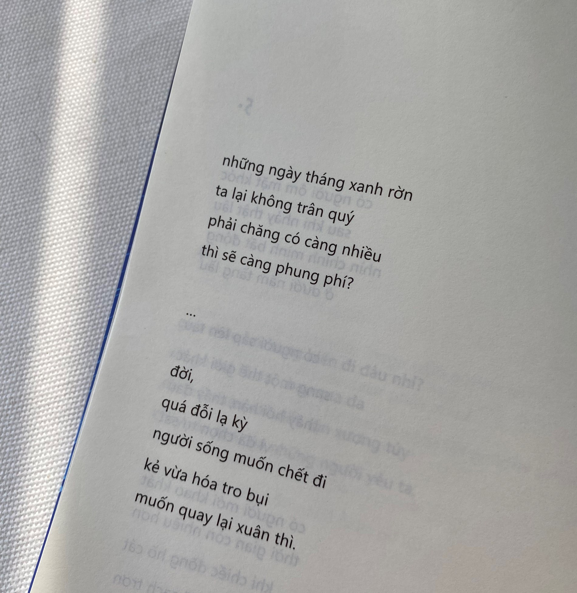 Đám Trẻ Ở Đại Dương Đen (Tái Bản 2026) - Ảnh 9