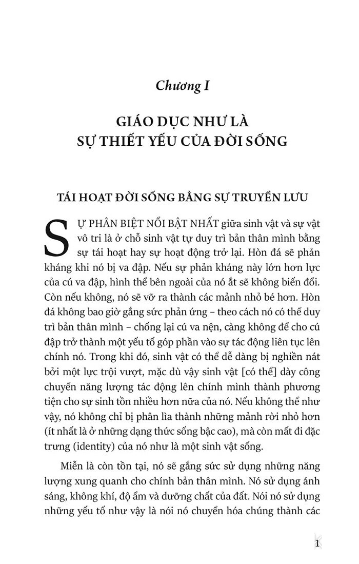 dân chủ và giáo dục - Ảnh 8