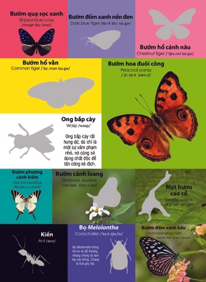 dán hình nhận biết động vật - chim và côn trùng (song ngữ việt-anh) - Ảnh 3