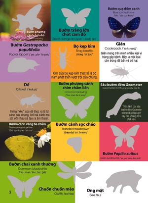 dán hình nhận biết động vật - chim và côn trùng (song ngữ việt-anh) - Ảnh 4