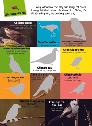 dán hình nhận biết động vật - chim và côn trùng (song ngữ việt-anh) - Ảnh 5