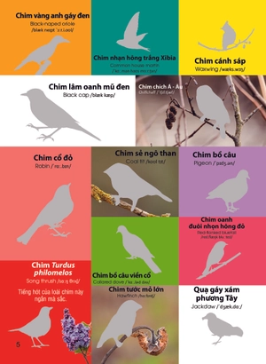 dán hình nhận biết động vật - chim và côn trùng (song ngữ việt-anh) - Ảnh 6