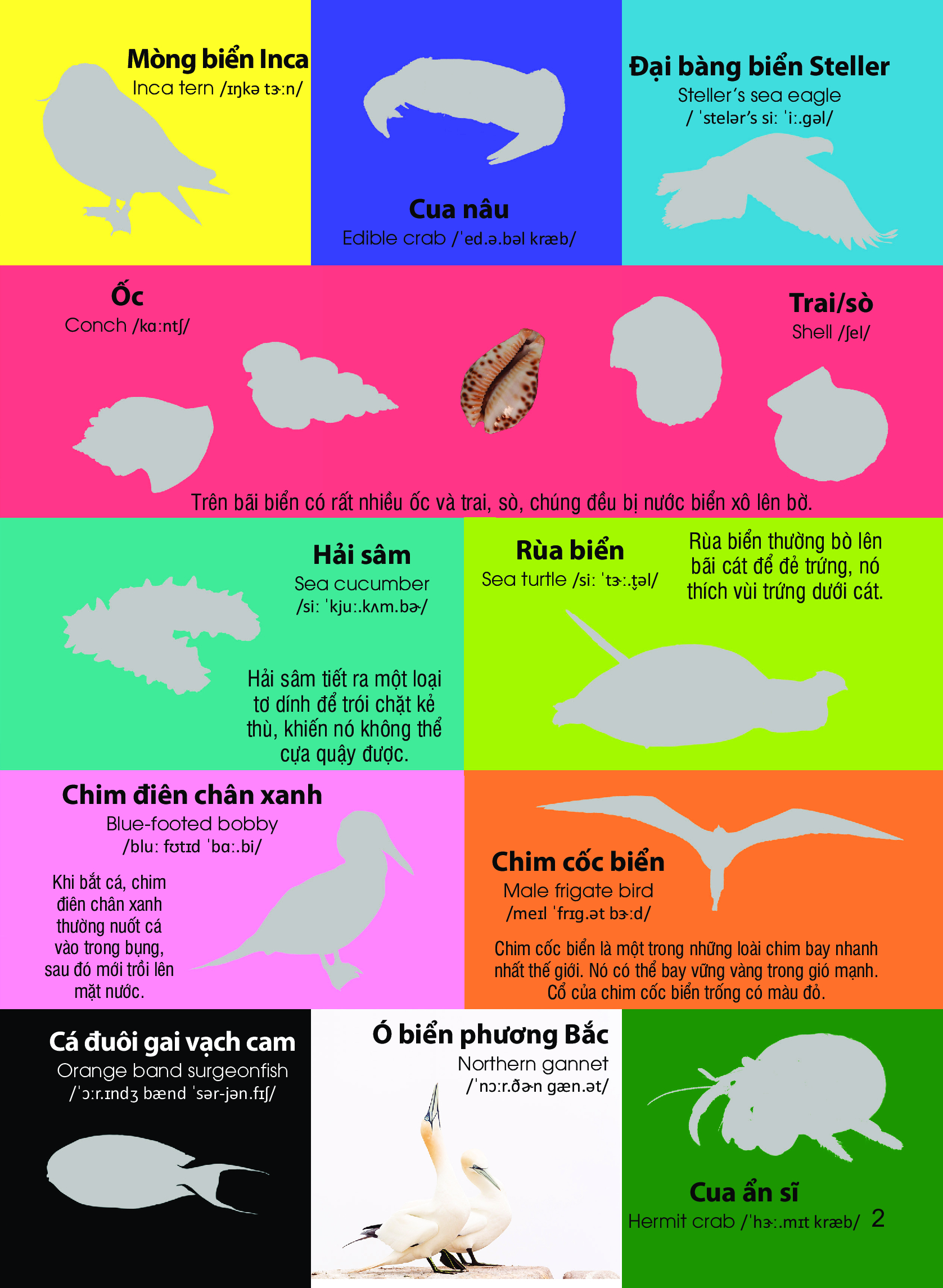 dán hình nhận biết động vật - động vật biển (song ngữ việt-anh) - Ảnh 3