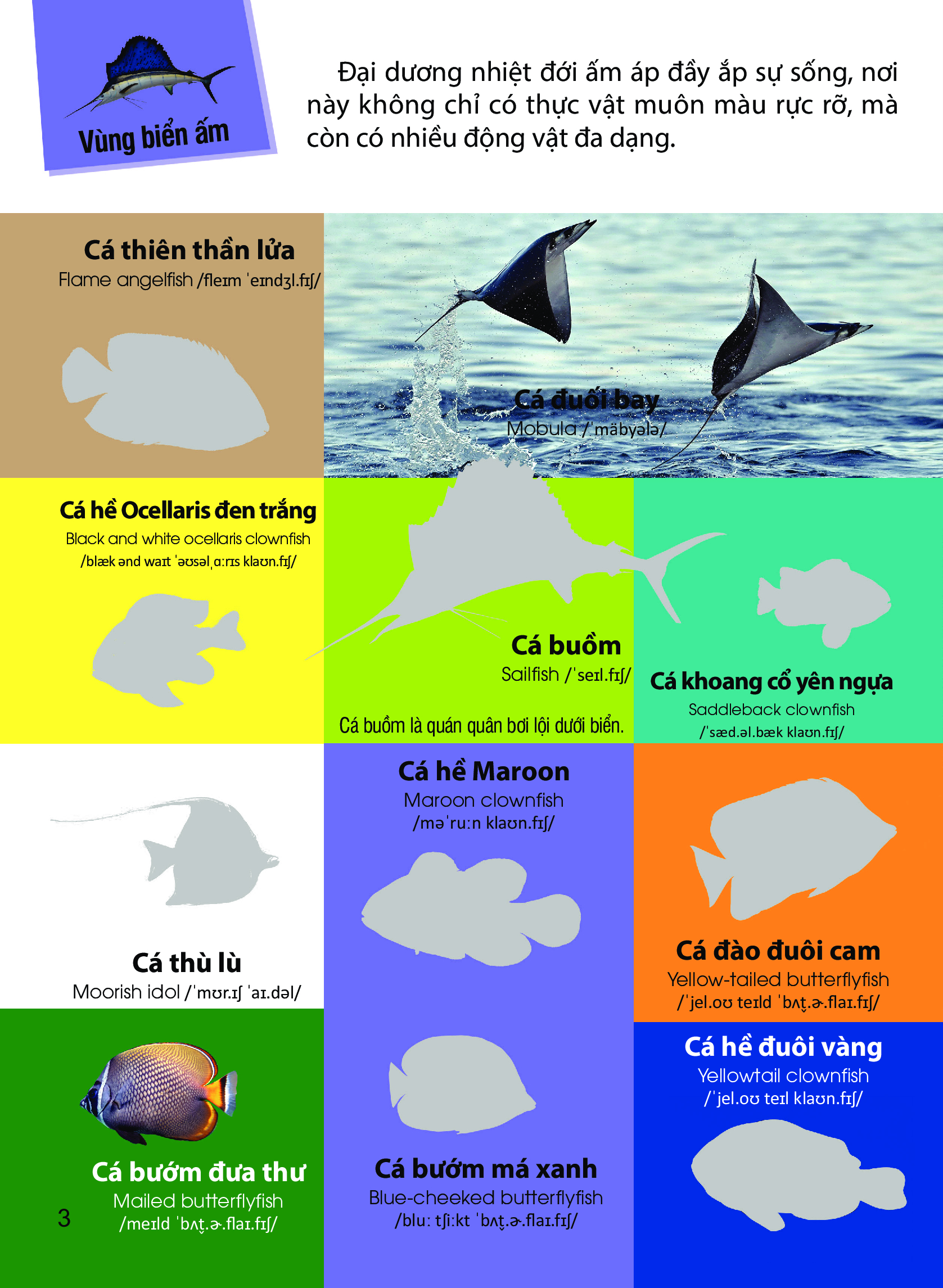 dán hình nhận biết động vật - động vật biển (song ngữ việt-anh) - Ảnh 4
