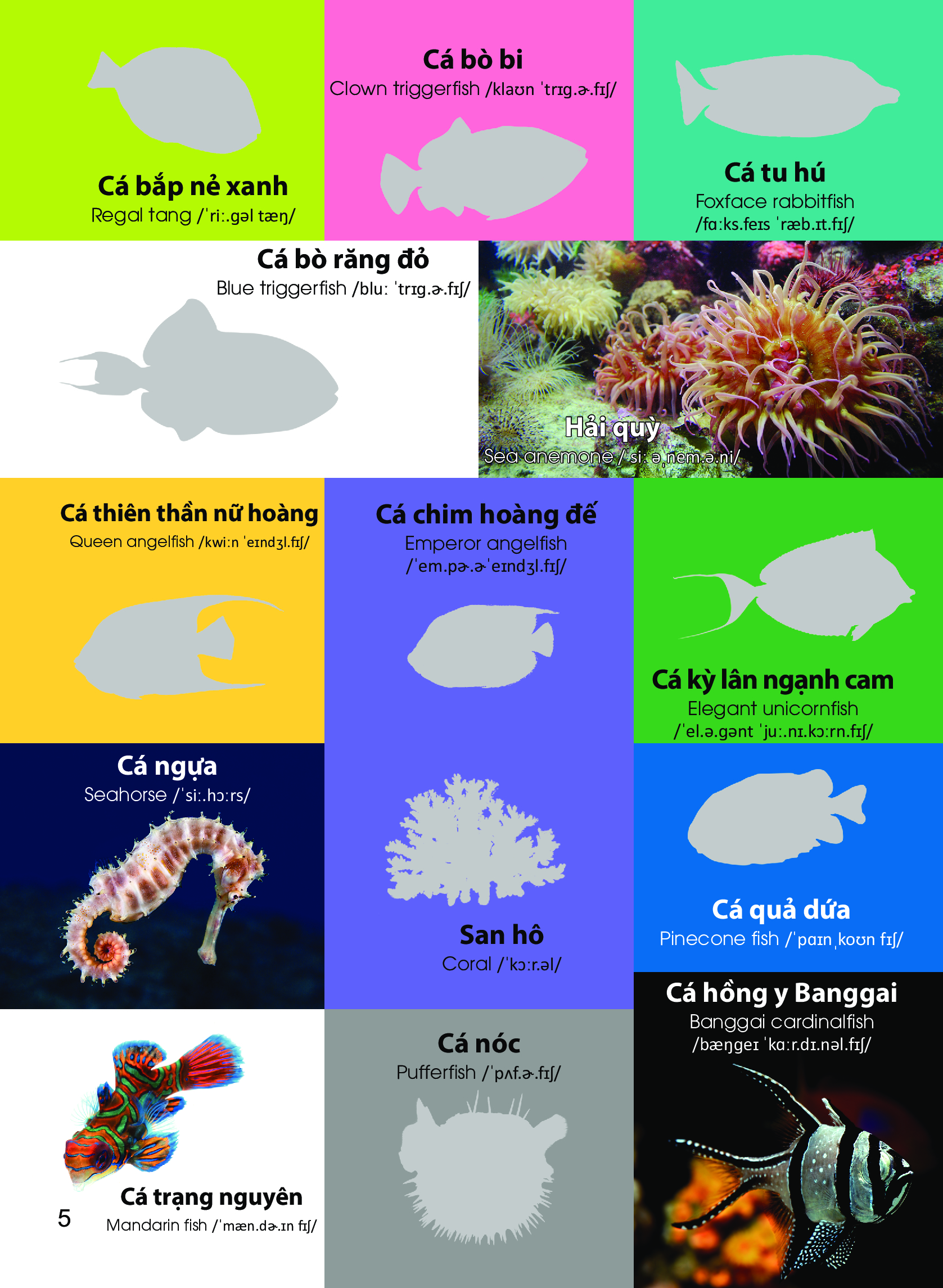 dán hình nhận biết động vật - động vật biển (song ngữ việt-anh) - Ảnh 6