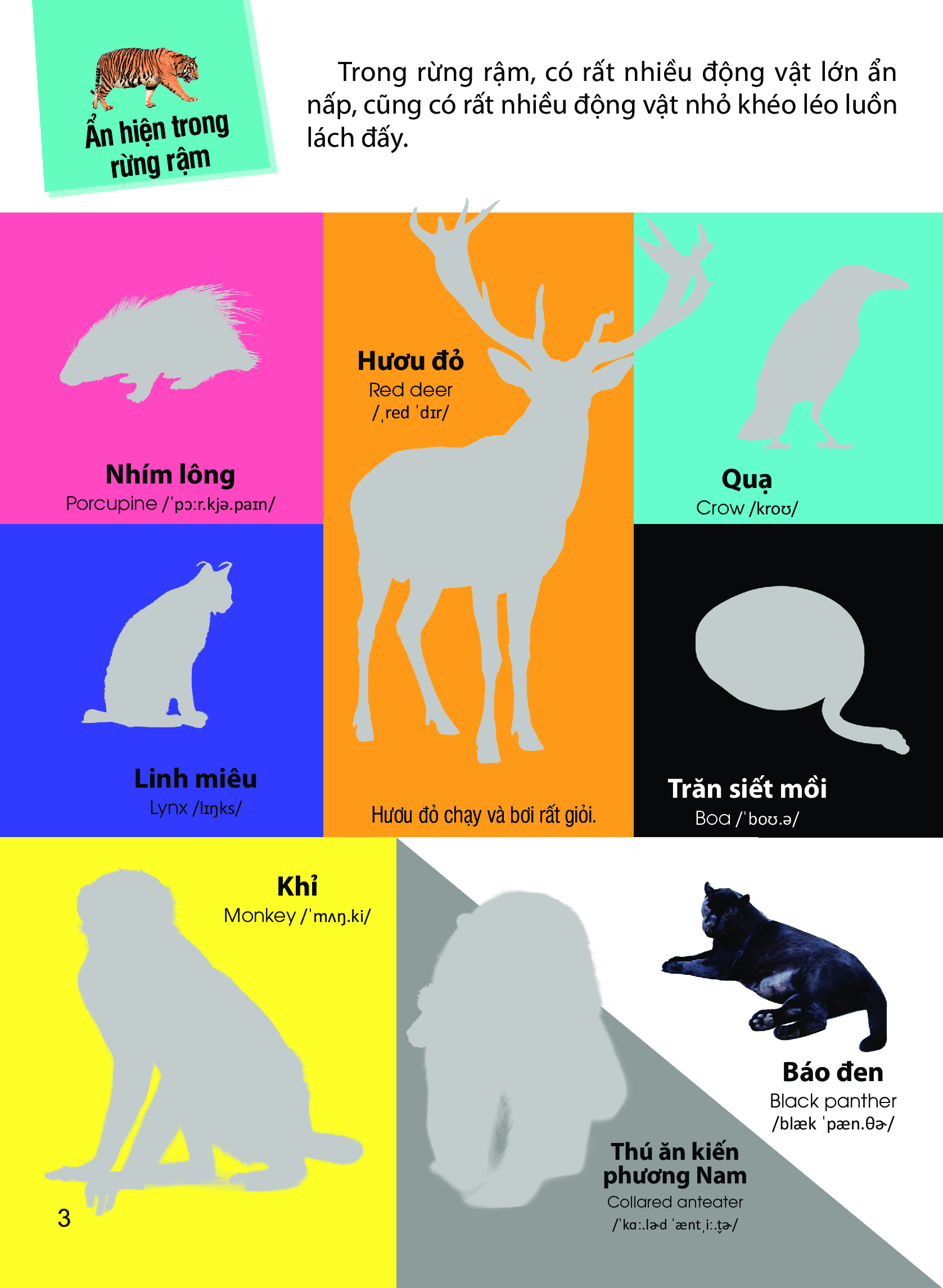 dán hình nhận biết động vật - động vật hoang dã (song ngữ việt-anh) - Ảnh 4