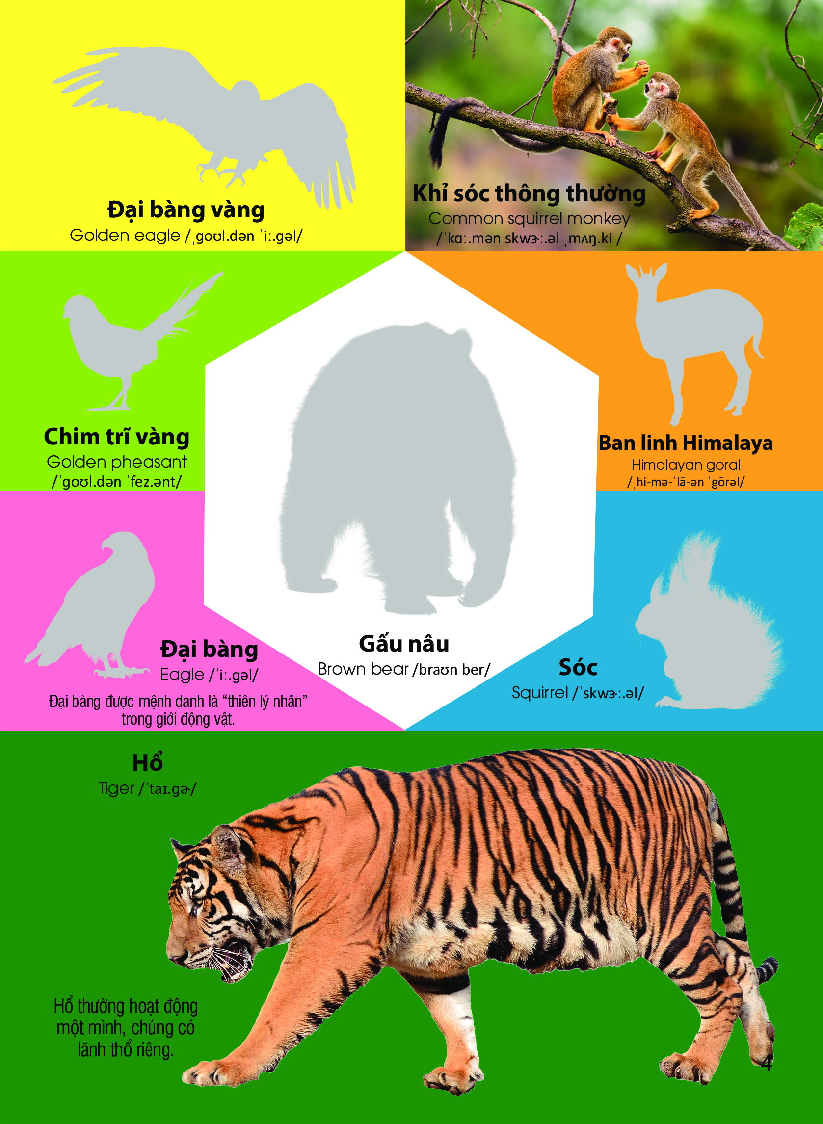 dán hình nhận biết động vật - động vật hoang dã (song ngữ việt-anh) - Ảnh 5