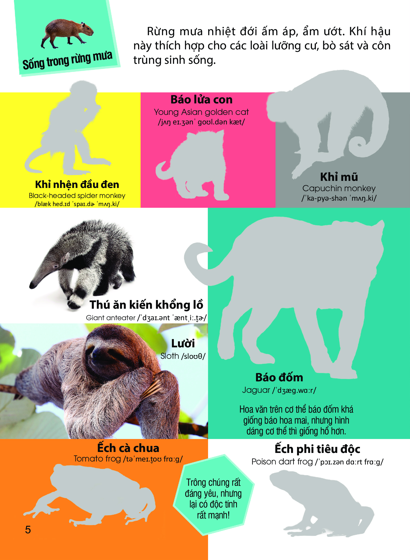 dán hình nhận biết động vật - động vật hoang dã (song ngữ việt-anh) - Ảnh 6