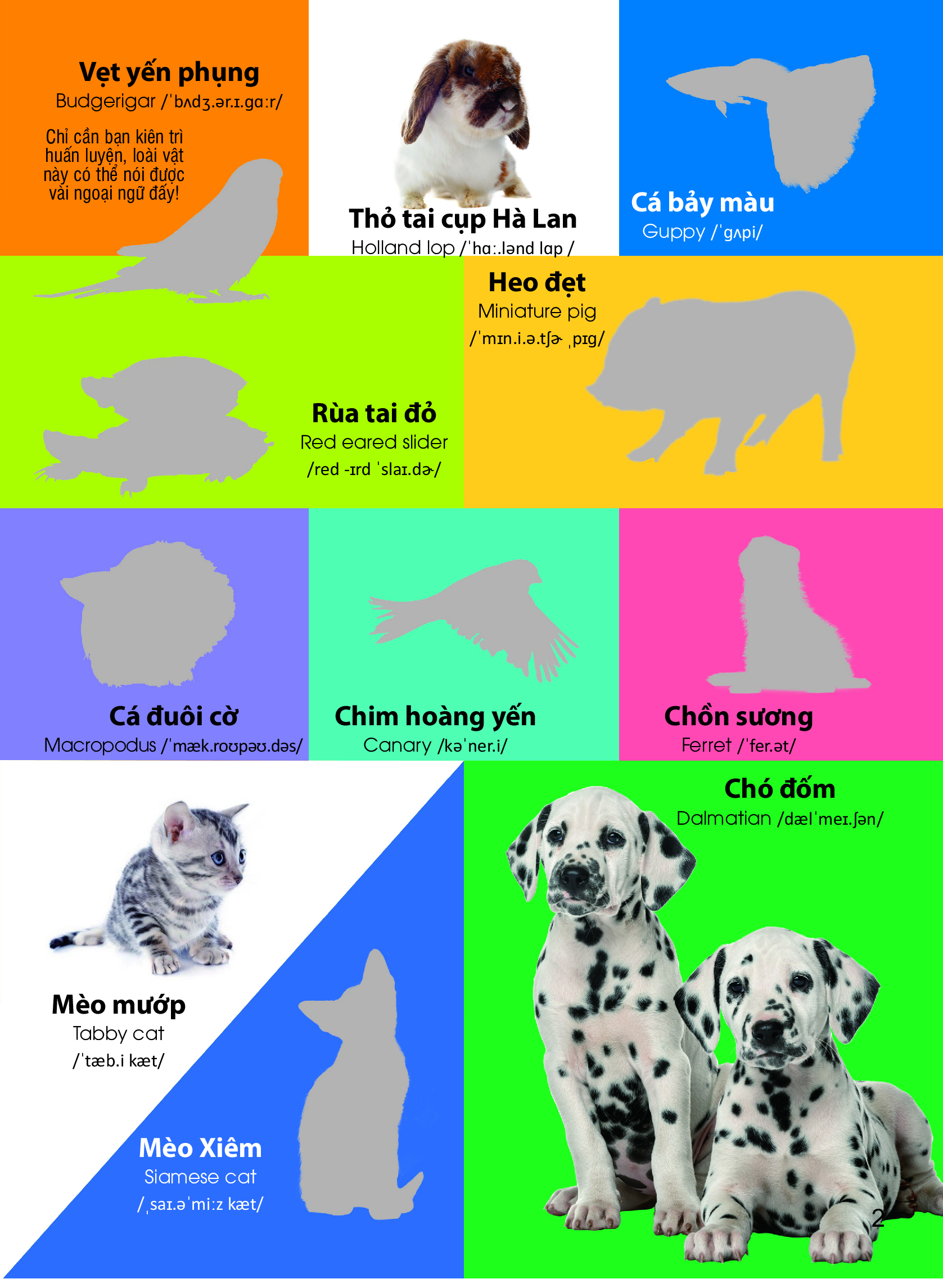 dán hình nhận biết động vật - những loài vật dễ thương (song ngữ việt-anh) - Ảnh 3