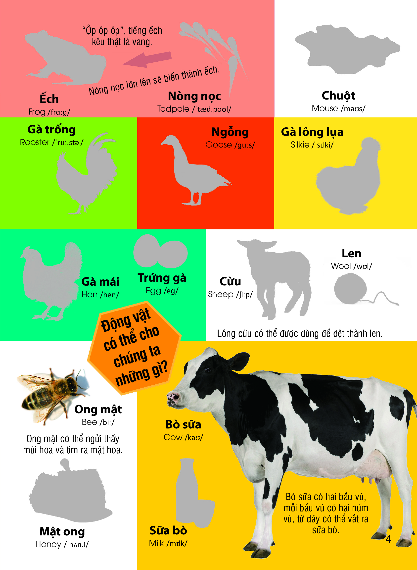 dán hình nhận biết động vật - những loài vật dễ thương (song ngữ việt-anh) - Ảnh 5