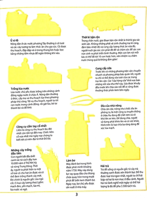 dán hình thông thái - nông trại - Ảnh 3