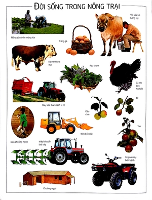 dán hình thông thái - nông trại - Ảnh 4