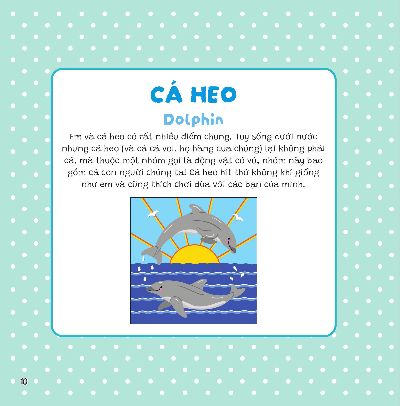 Dán Khéo Tay, Hiện Hình Ngay! - Đại Dương - Ảnh 21