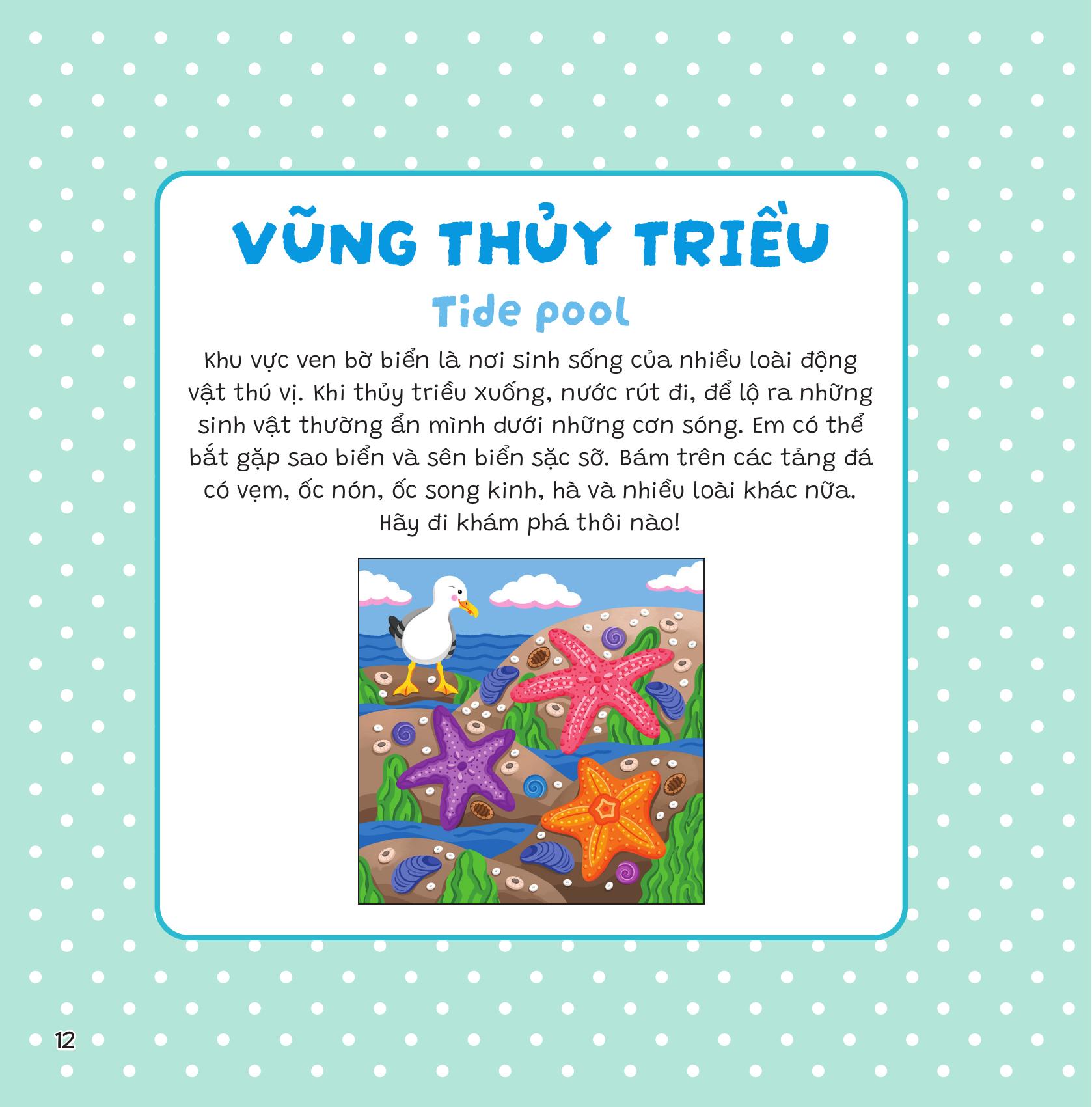 Dán Khéo Tay, Hiện Hình Ngay! - Đại Dương - Ảnh 24