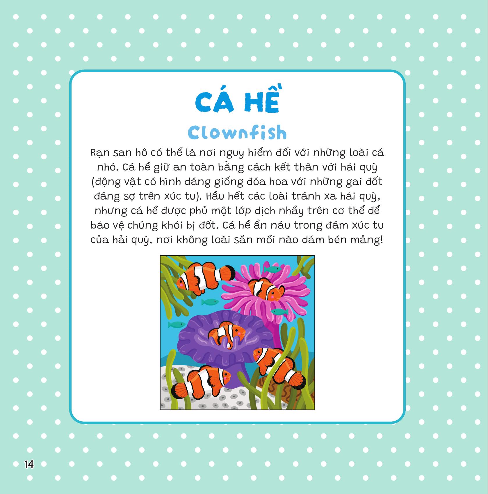 Dán Khéo Tay, Hiện Hình Ngay! - Đại Dương - Ảnh 28