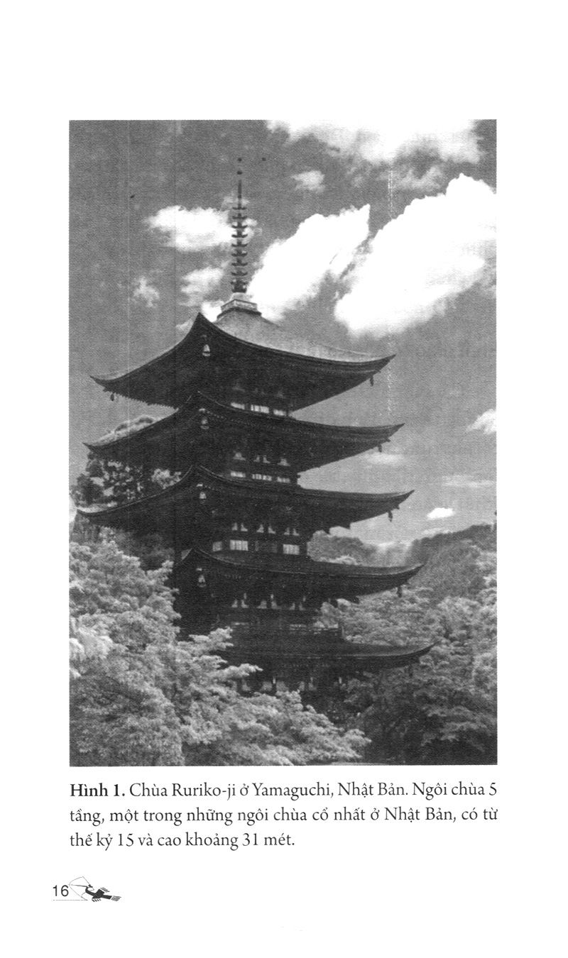 dẫn luận về phật giáo (tái bản) - Ảnh 8