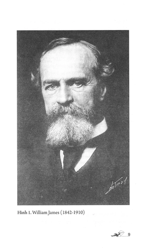 dẫn luận về tâm lý học (tái bản 2022) - Ảnh 5