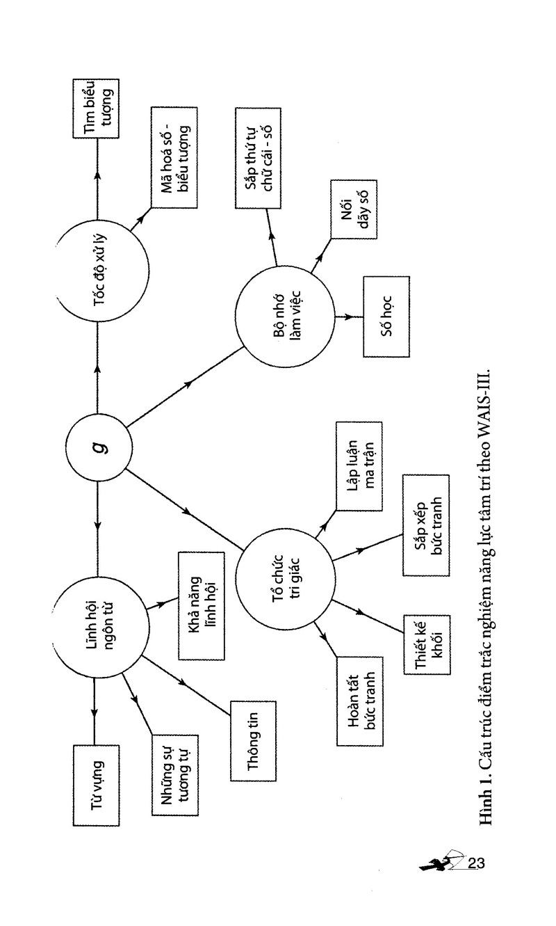 dẫn luận về trí thông minh - Ảnh 15