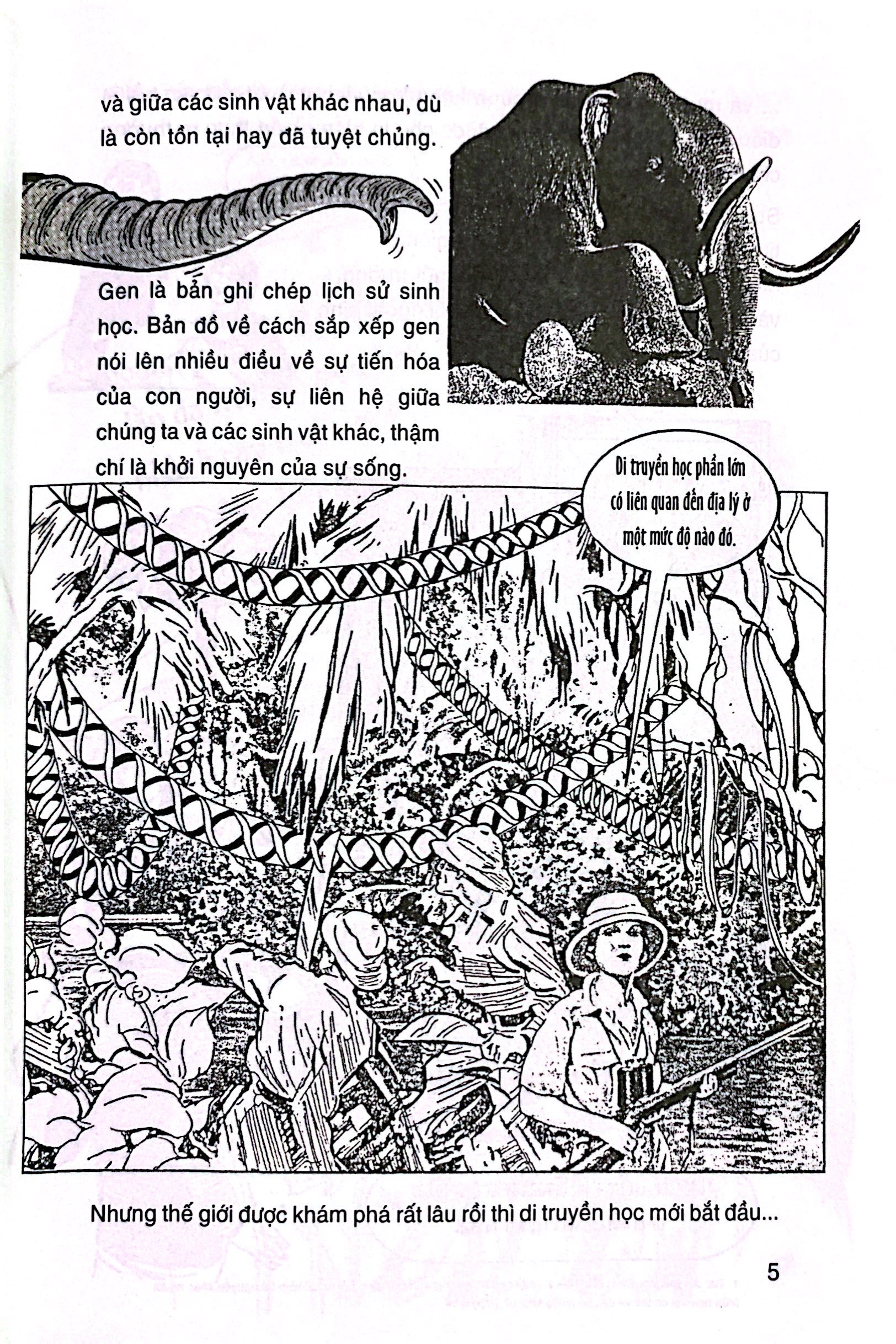 dẫn nhập ngắn về khoa học - di truyền học - minh họa sinh động bằng tranh - Ảnh 5