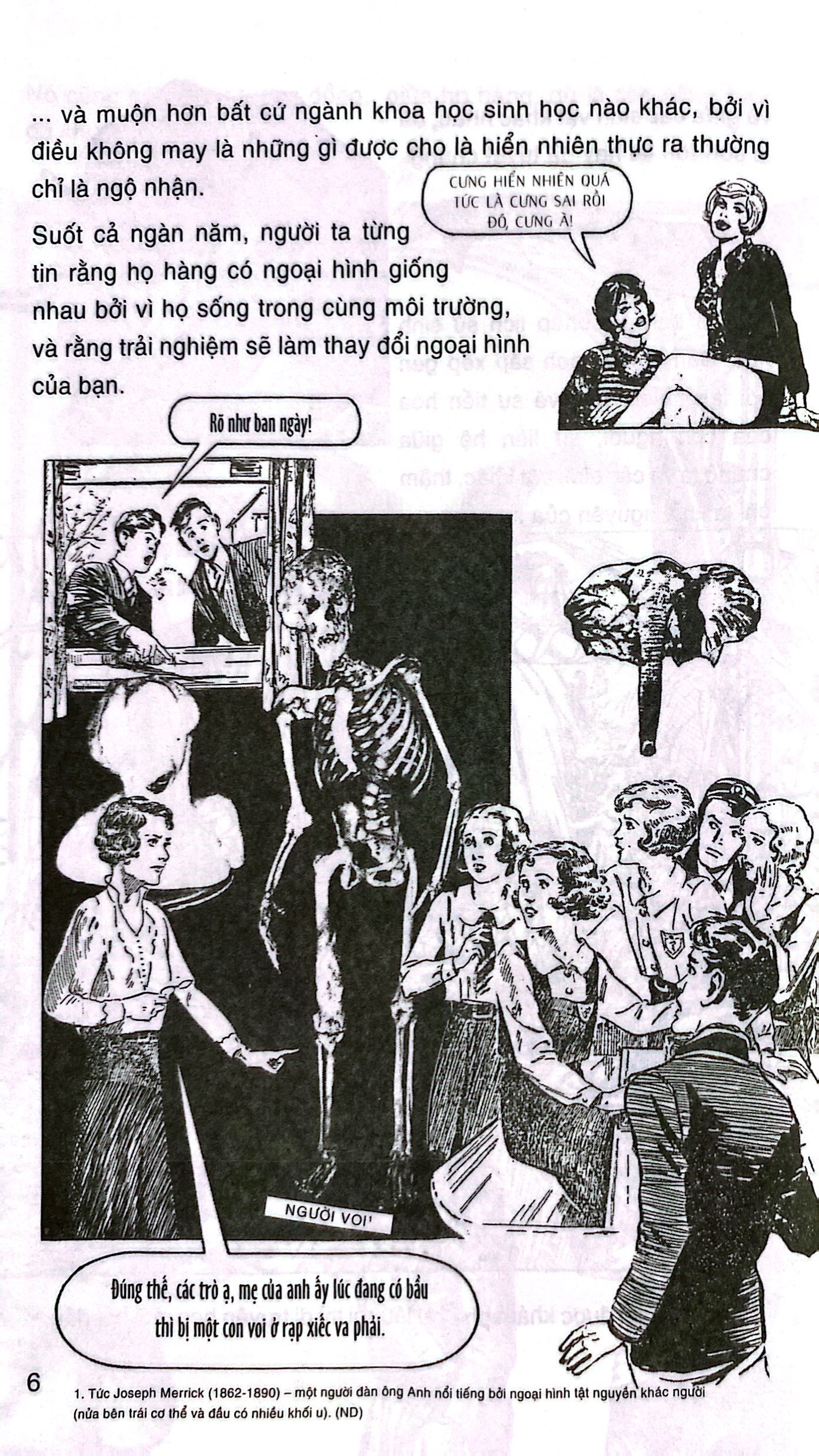 dẫn nhập ngắn về khoa học - di truyền học - minh họa sinh động bằng tranh - Ảnh 6