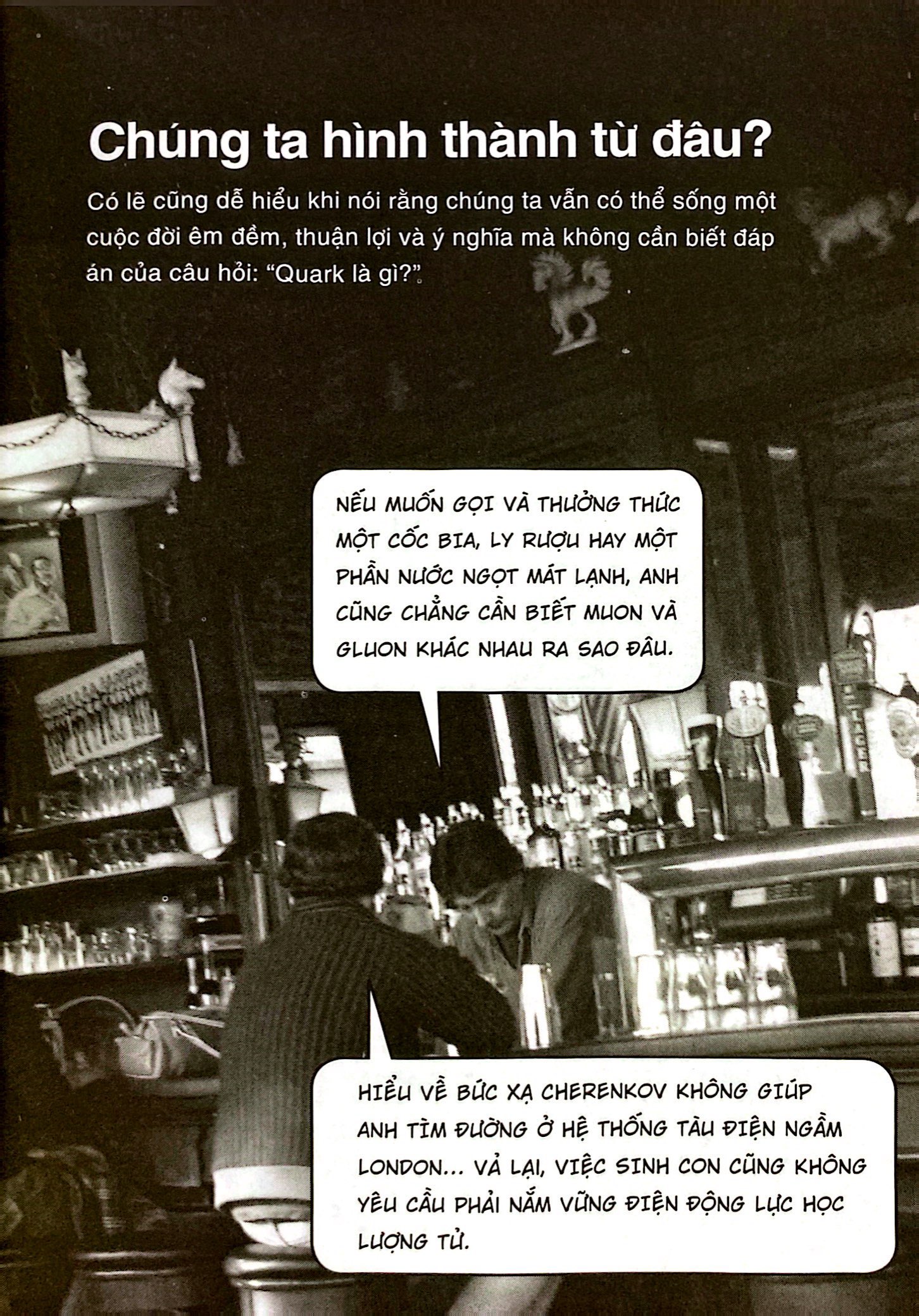 dẫn nhập ngắn về khoa học - vật lý hạt - minh họa sinh động bằng tranh - Ảnh 4
