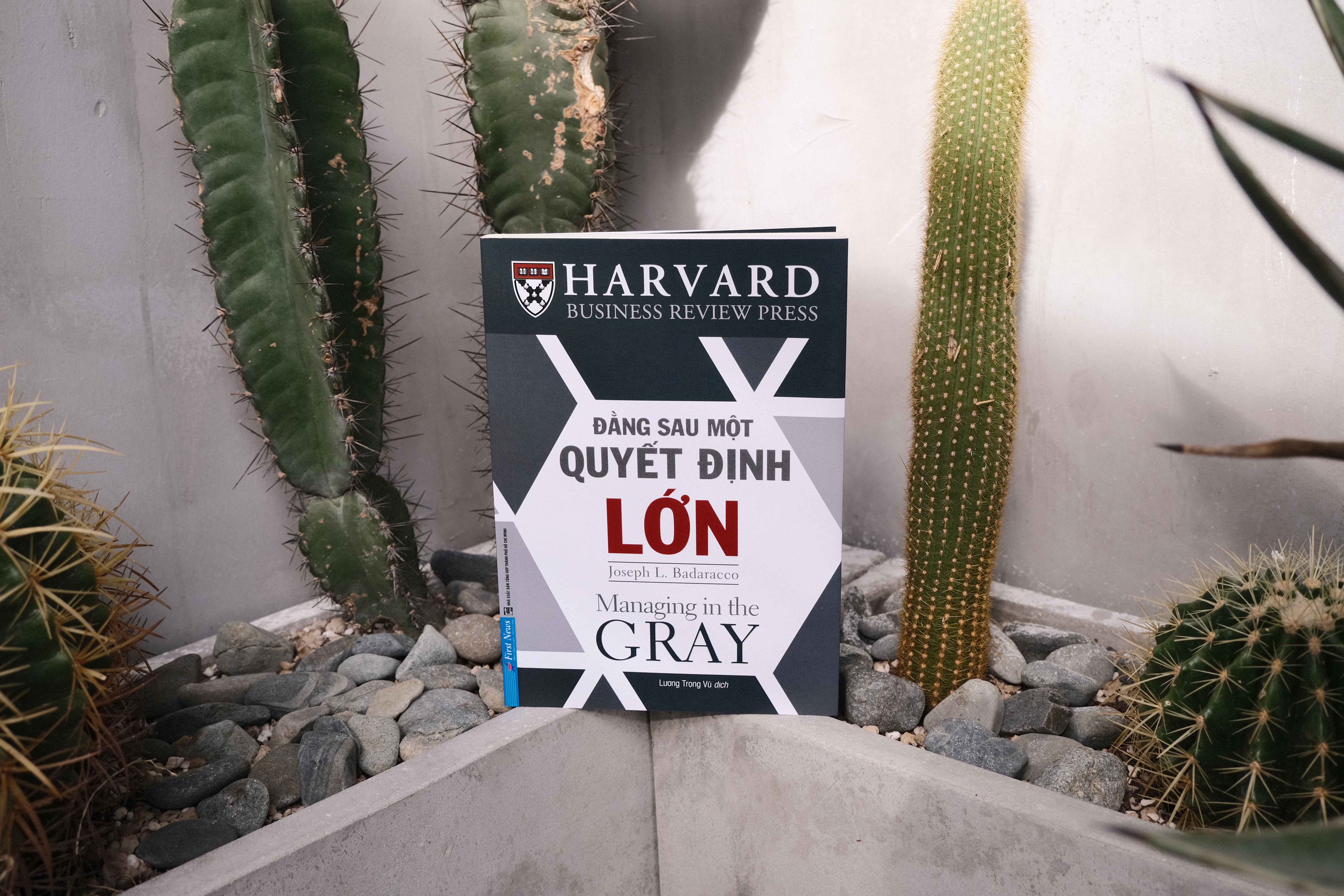 đằng sau một quyết định lớn - Ảnh 9