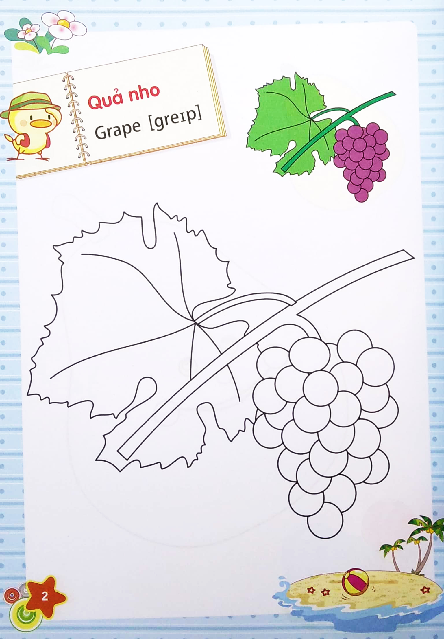 dành cho trẻ mầm non - tập tô màu mẫu giáo - chủ đề quả (tái bản 2022) - Ảnh 4