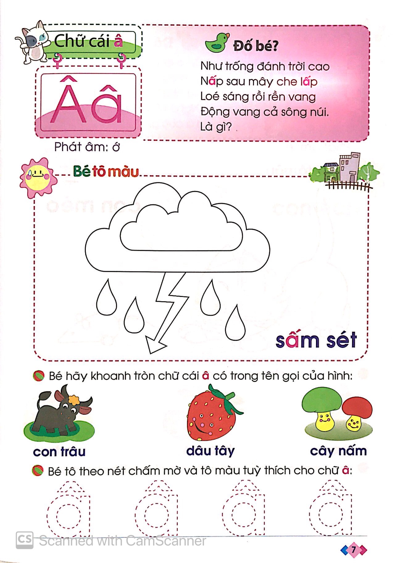 dành cho trẻ mầm non - vở nhận biết và làm quen với chữ cái - Ảnh 9