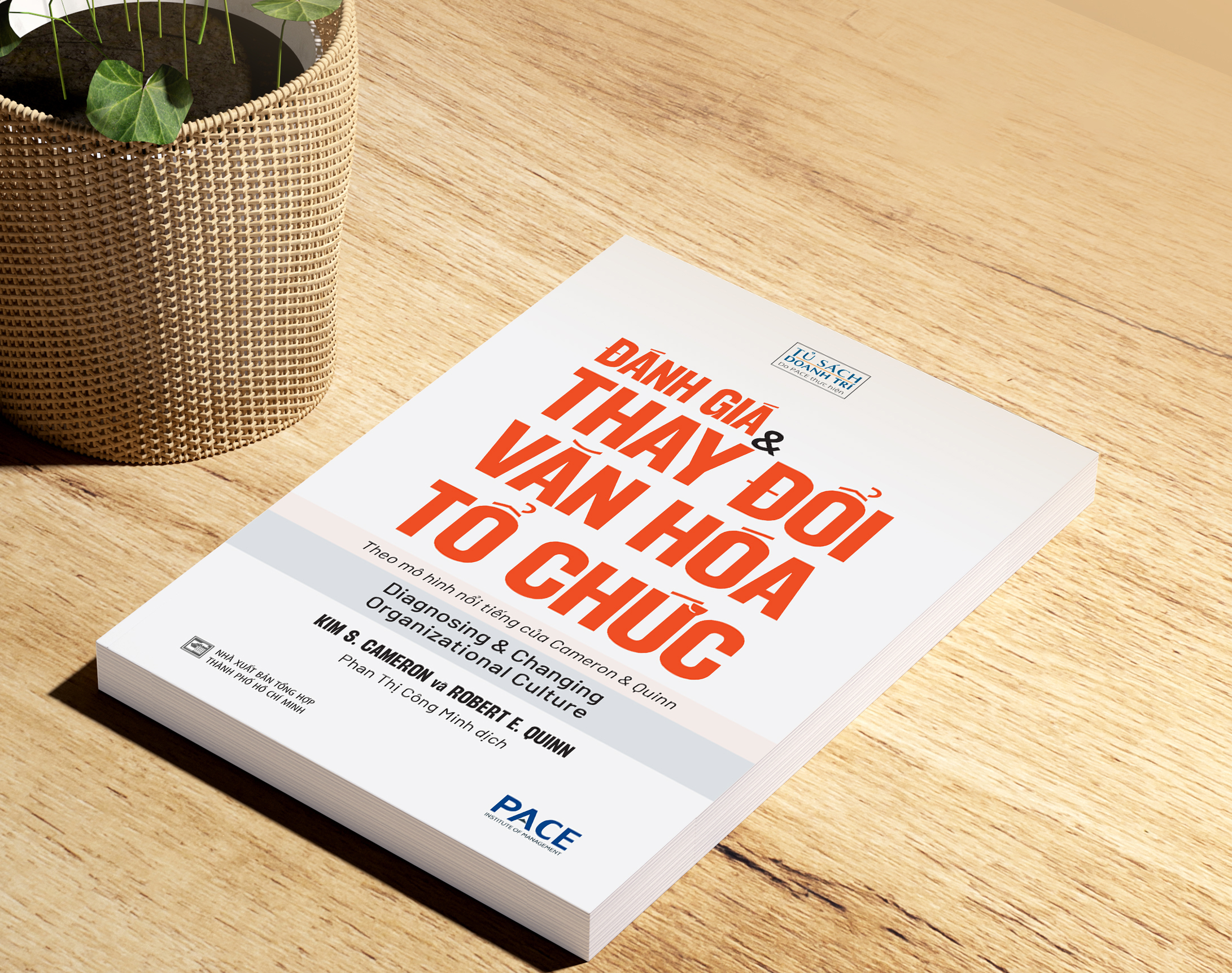 đánh giá và thay đổi văn hoá tổ chức - diagnosing and changing organizational culture - Ảnh 3