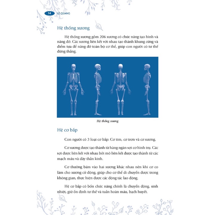 đánh thức khả năng tự chữa lành bệnh của cơ thể - Ảnh 4