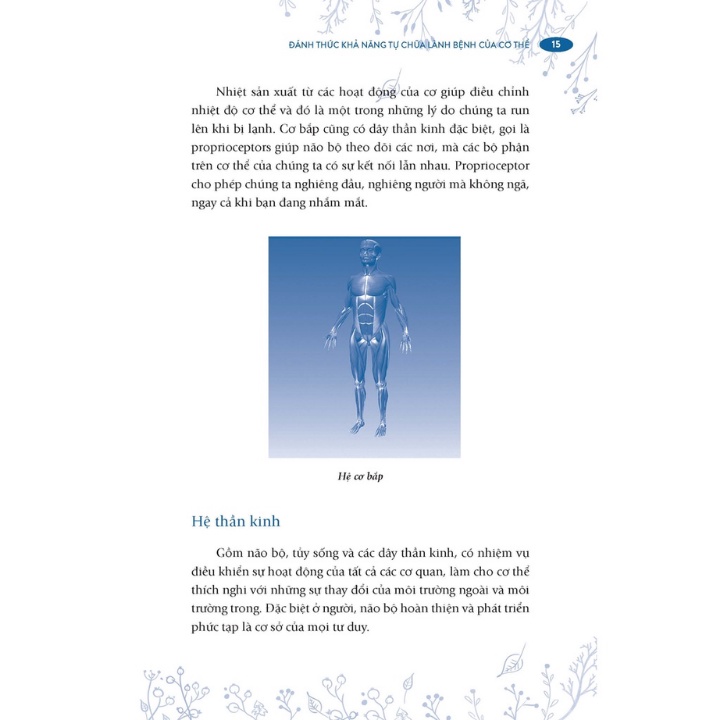 đánh thức khả năng tự chữa lành bệnh của cơ thể - Ảnh 5