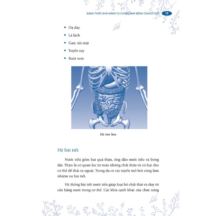 đánh thức khả năng tự chữa lành bệnh của cơ thể - Ảnh 7