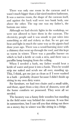 danny the champion of the world - Ảnh 10