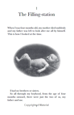 danny the champion of the world - Ảnh 7