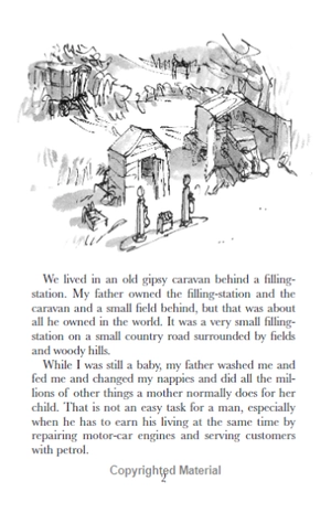 danny the champion of the world - Ảnh 8