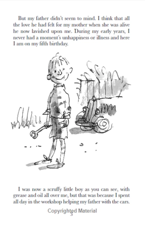 danny the champion of the world - Ảnh 9