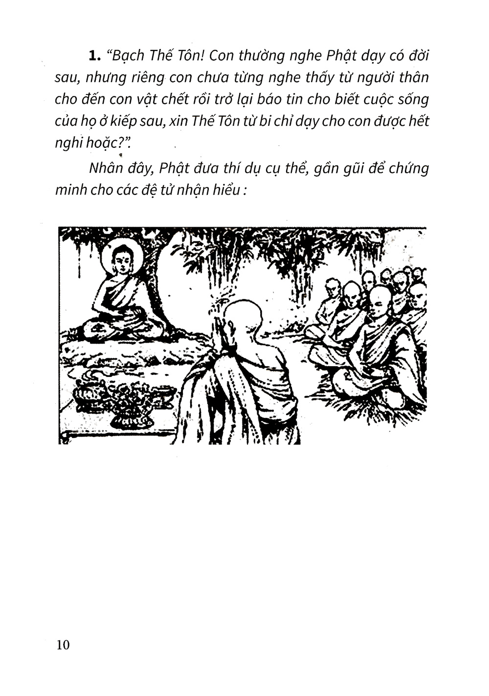 đạo lý luân hồi - Ảnh 8