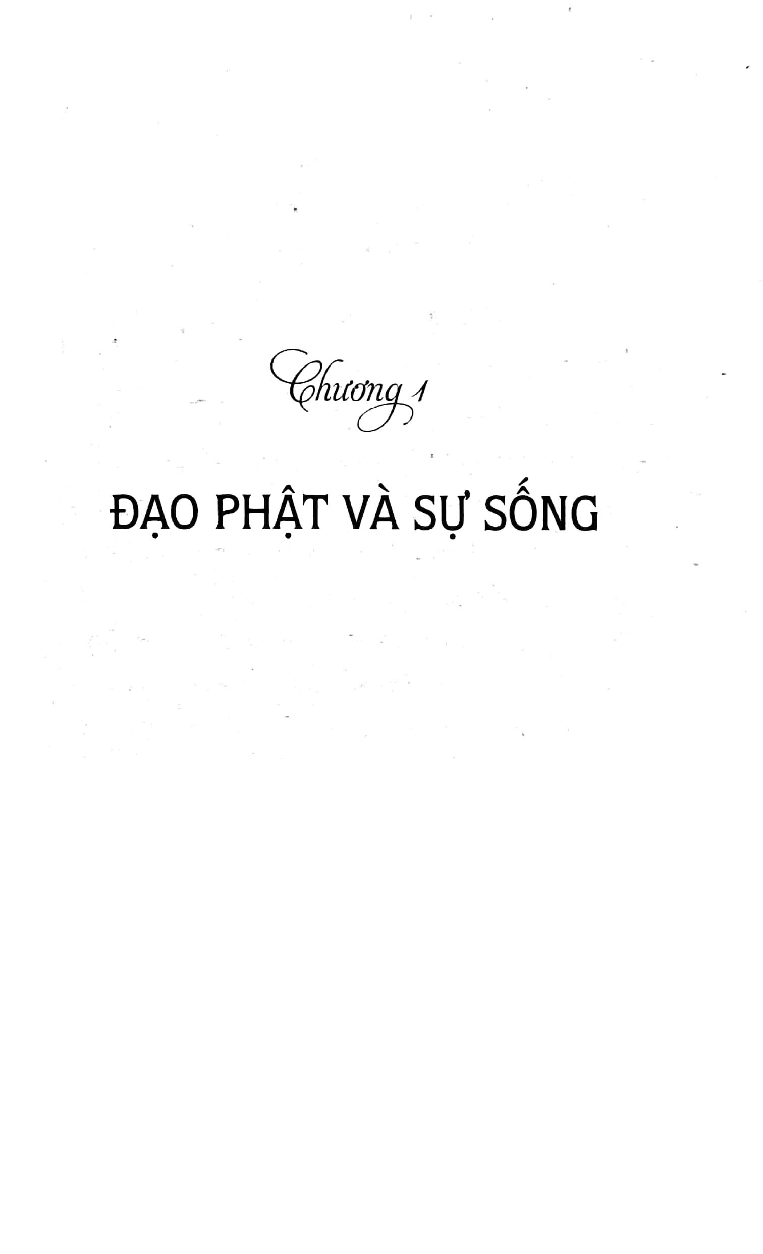 đạo phật áp dụng vào đời sống hằng ngày - Ảnh 4