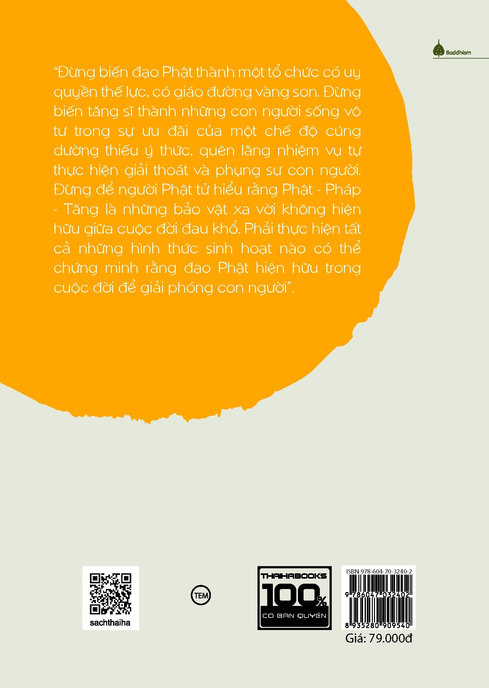 đạo phật đi vào cuộc đời - Ảnh 3