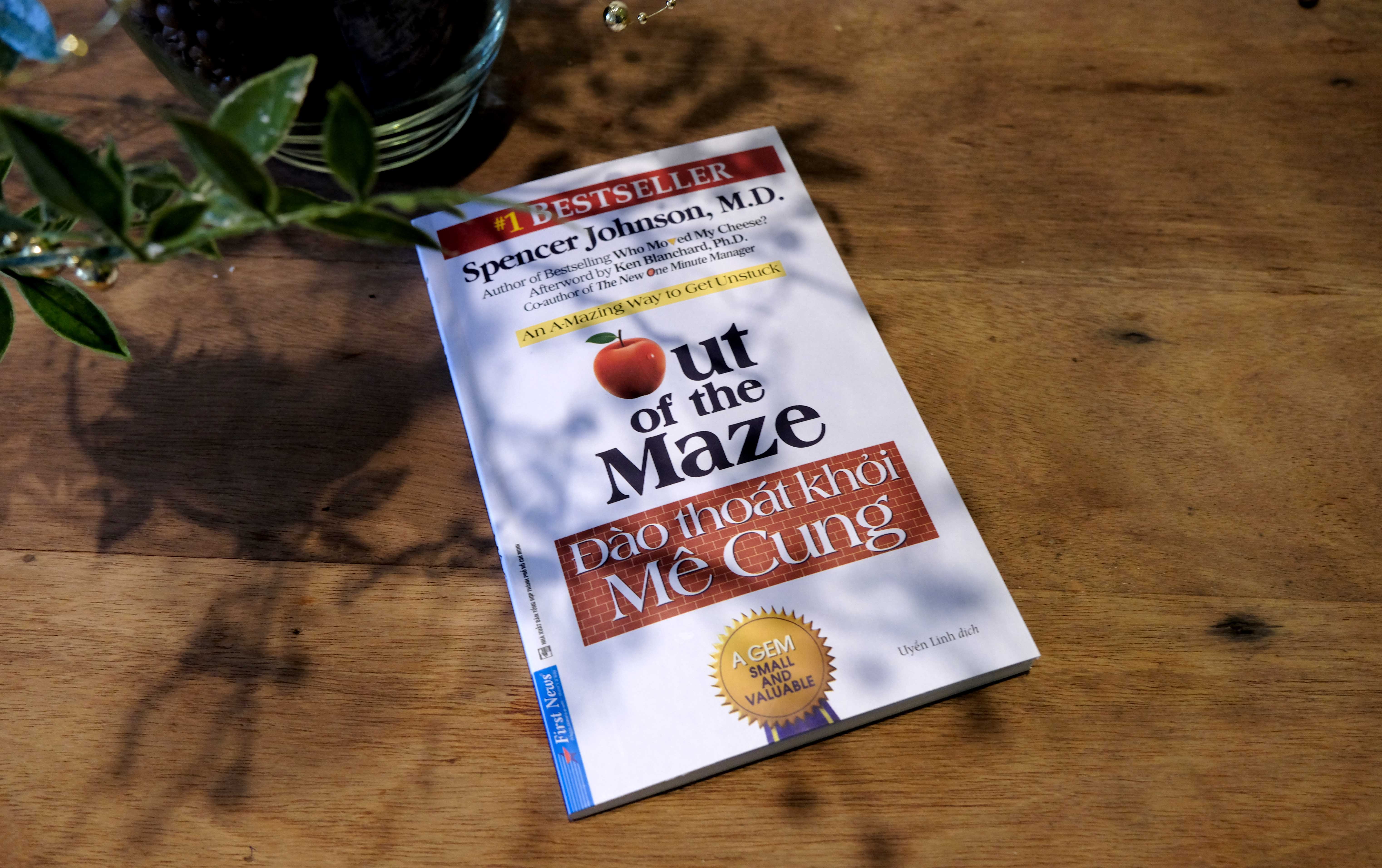 đào thoát khỏi mê cung - out of the maze - Ảnh 10