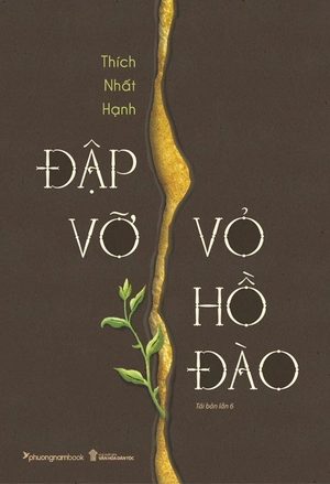 đập vỡ vỏ hồ đào (tái bản 2024) - Ảnh 2