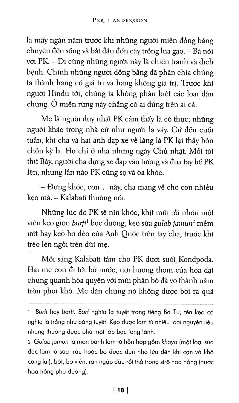 đạp xe vì tình từ ấn sang âu - Ảnh 19