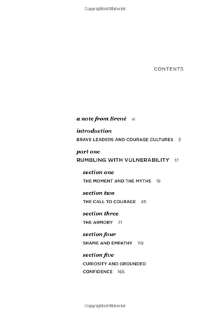 dare to lead: brave work. tough conversations. whole hearts. - Ảnh 3